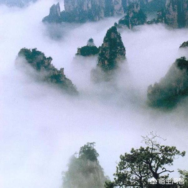 有朋友去過張家界風(fēng)景區(qū)嗎？感覺怎么樣？