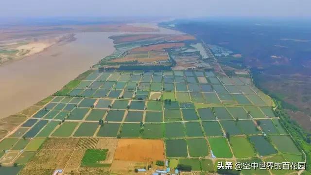 河南老鄉(xiāng)注意啦！在深圳的河南飯店接龍，推薦好吃的豫菜？做個(gè)河南飯店匯總？